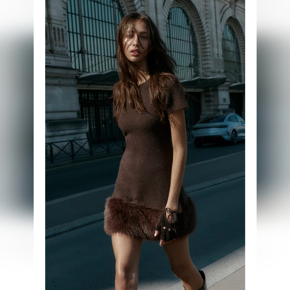 Zara Brown Mini Dress with Faux Fur Trim